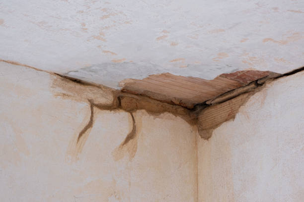  Selma, NC Water damage restoration Pros