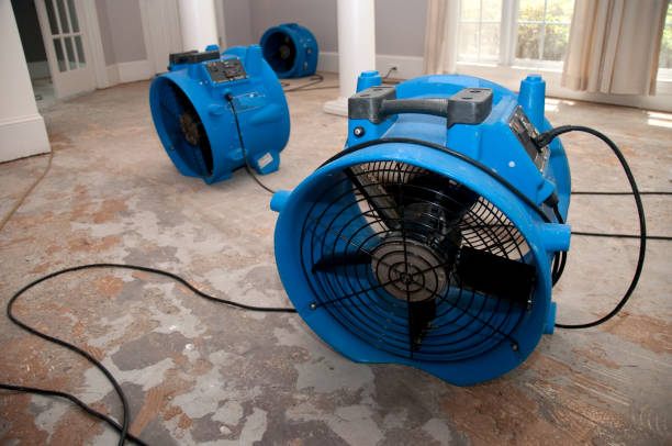Best Water damage restoration near me  in Selma, NC