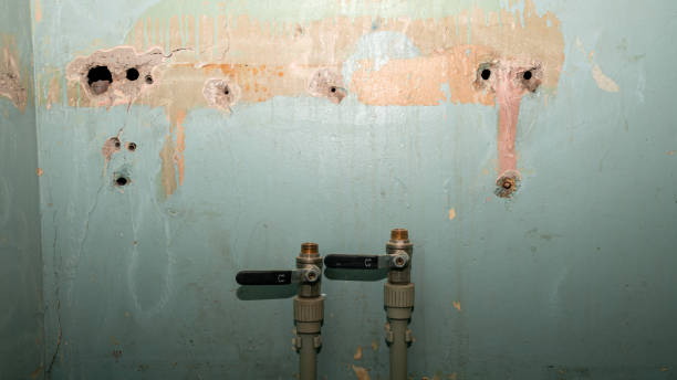 Water damage restoration mold remediation in Selma, NC