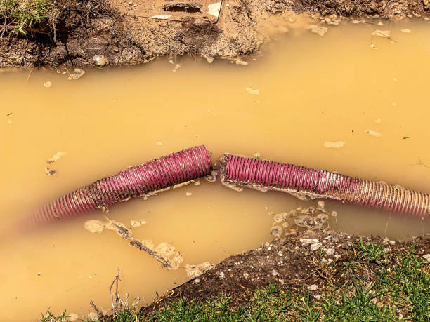 Best Water damage restoration specialists  in Selma, NC
