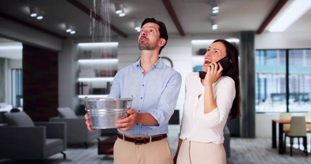 Best Water damage cleanup near me  in Selma, NC