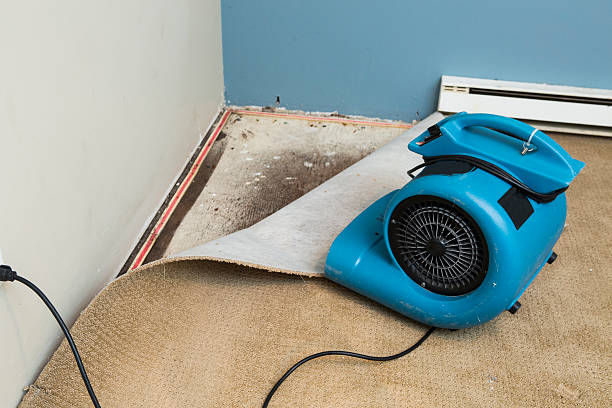 Best Water damage repair service  in Selma, NC