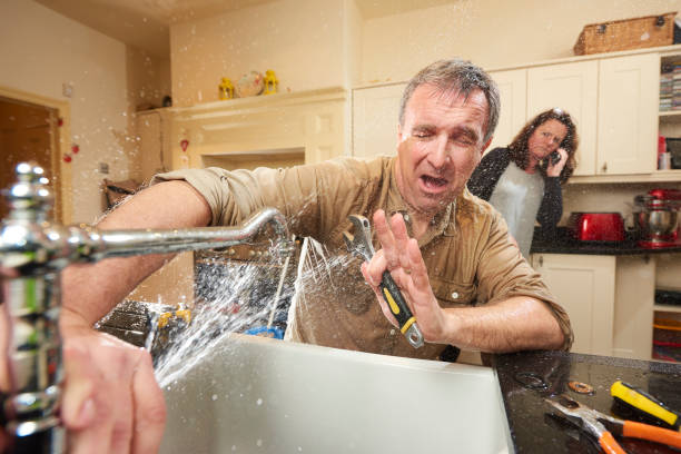 Best Flooded house restoration  in Selma, NC